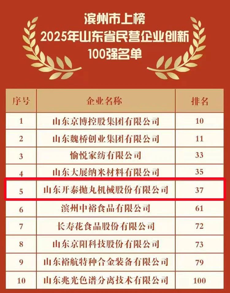 Top 100 Innovative Private Enterprises in Shandong Province