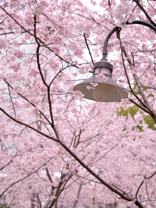 New Forces in Foreign Trade: Shandong Kaitai’s Three Divisions Unite