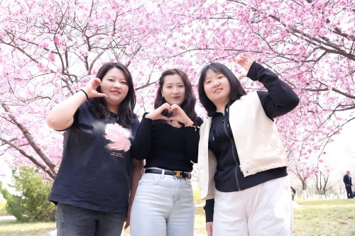 New Forces in Foreign Trade: Shandong Kaitai’s Three Divisions Unite