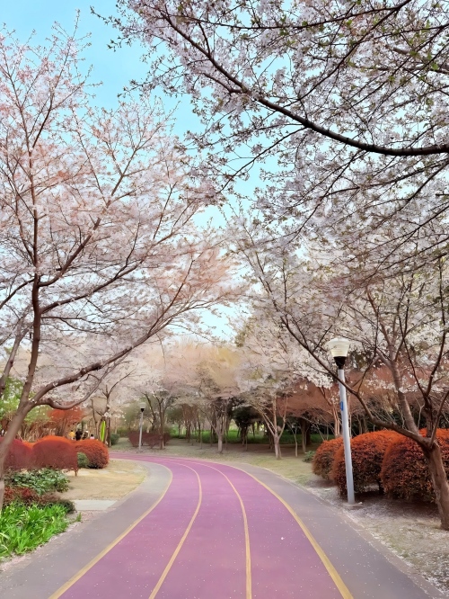 New Forces in Foreign Trade: Shandong Kaitai’s Three Divisions Unite