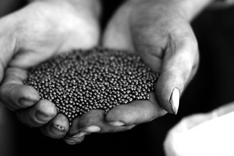 Cast Steel Shot Effect and Characteristics